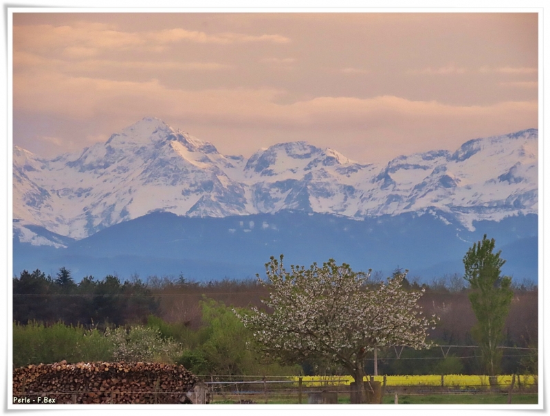 195.JPG Pyrénées