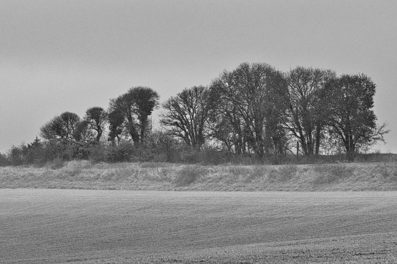 Photo Paysages naturels Lumière d'hiver