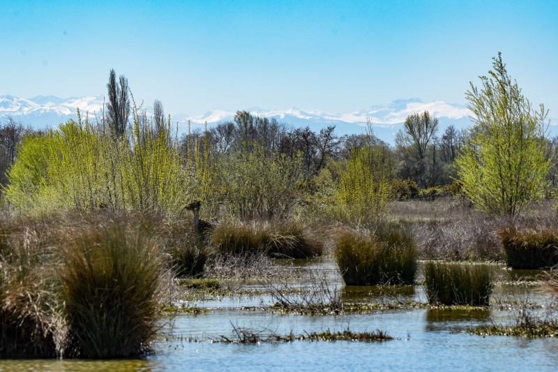 Photo Paysages naturels Domaine des oiseaux