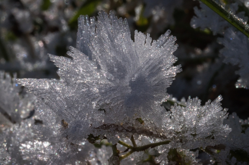 Photo Autres Bijou d'hiver